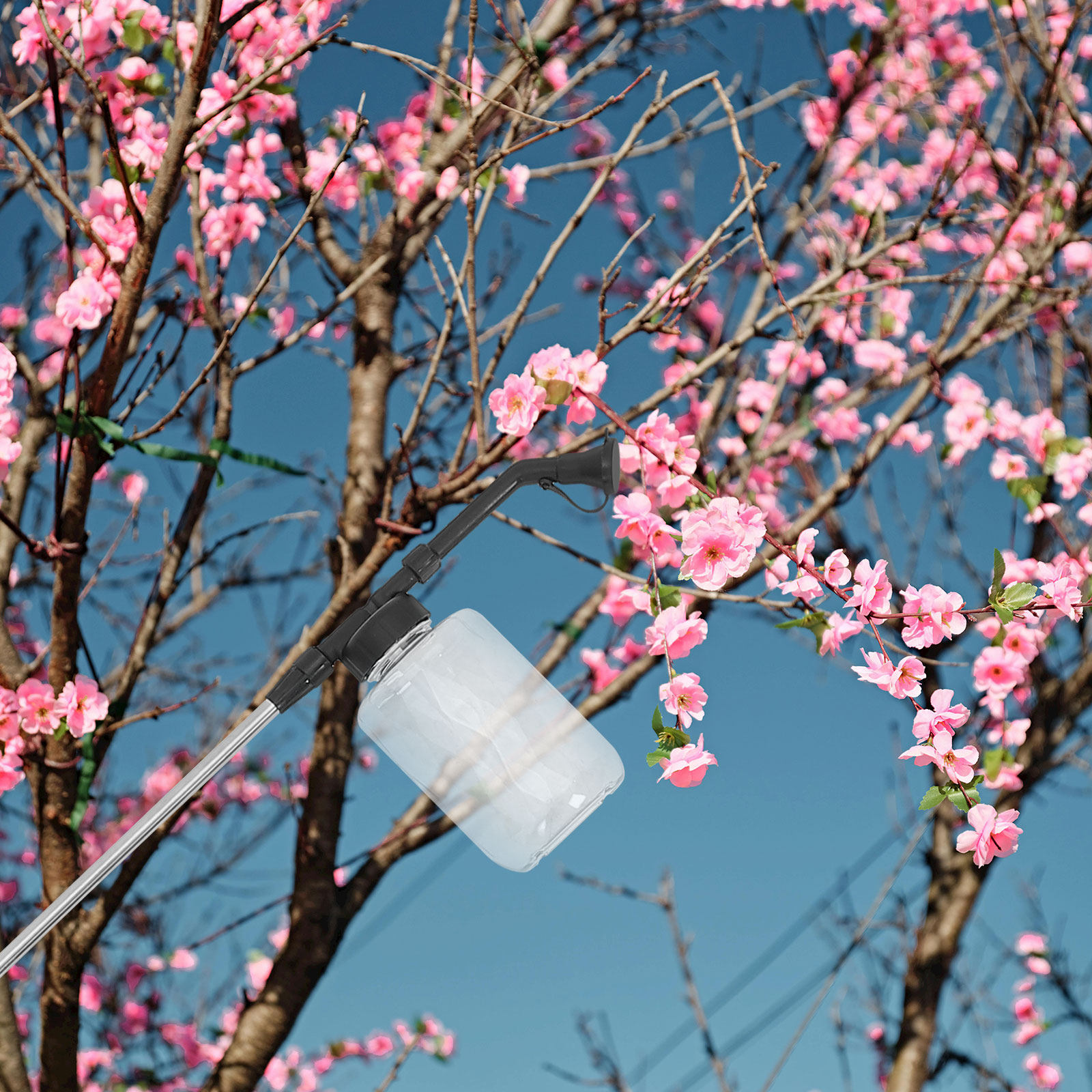 Manual Pollination Stick Handh - Flower Supplies 评论和价格